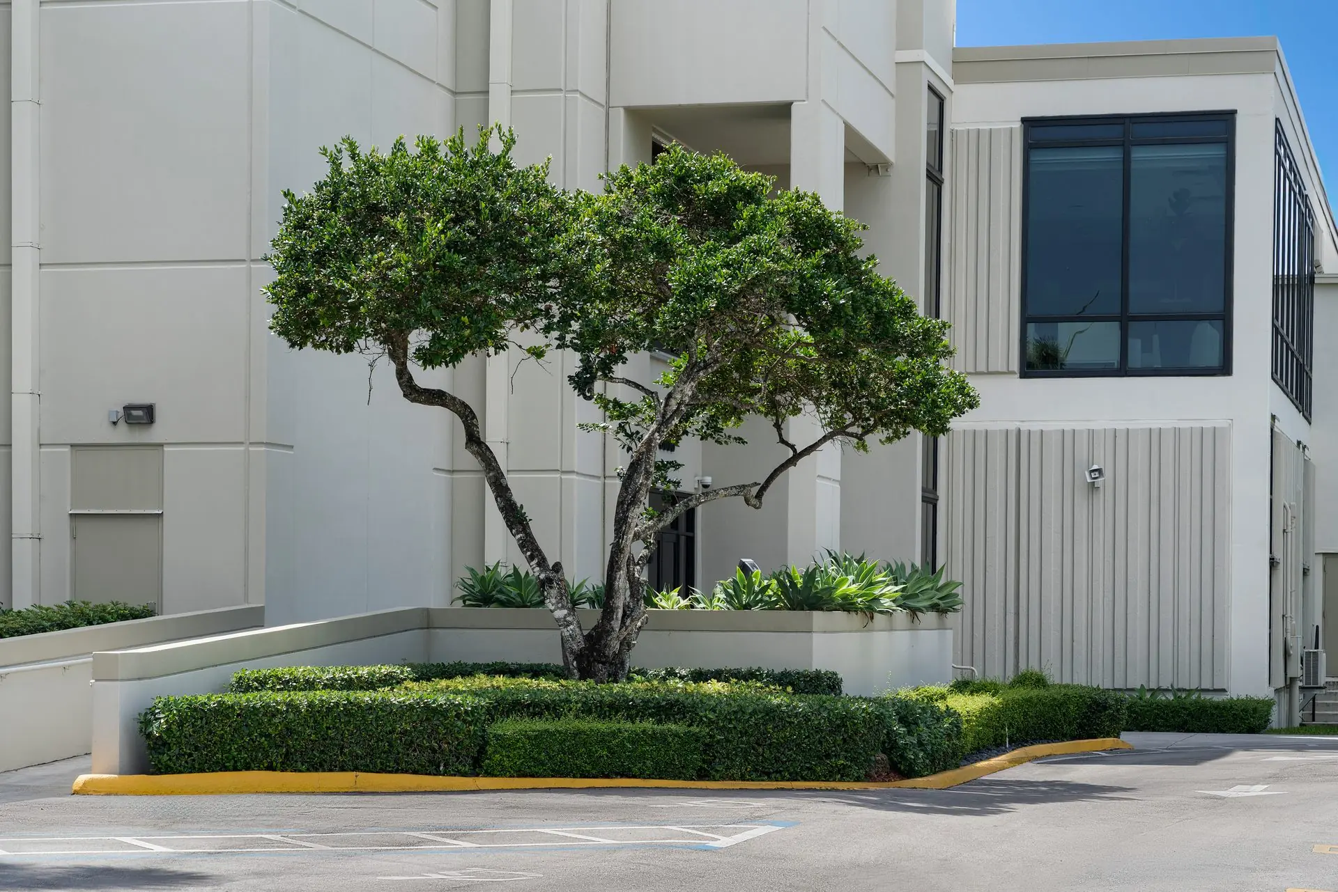 A medical center campus maintained by Raise