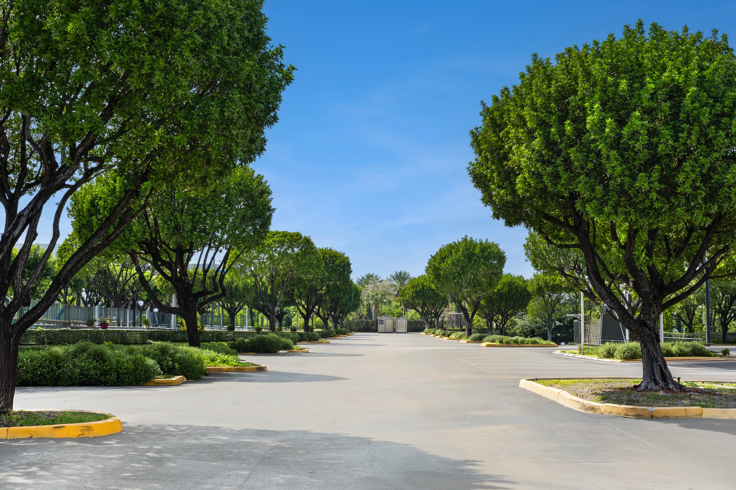 Commercial plaza grounds maintained by Raise